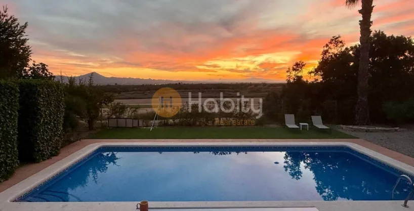 WhatsApp Image 2026 01 31 at 18.11.38